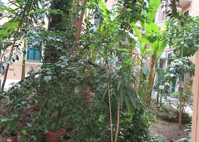Near To Colosseum Re-house *
